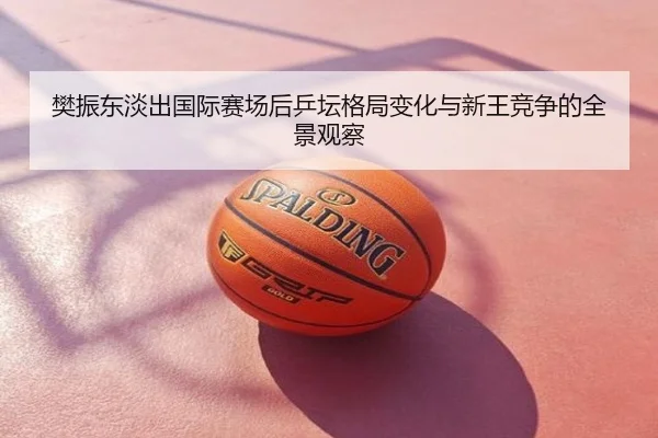 樊振东淡出国际赛场后乒坛格局变化与新王竞争的全景观察